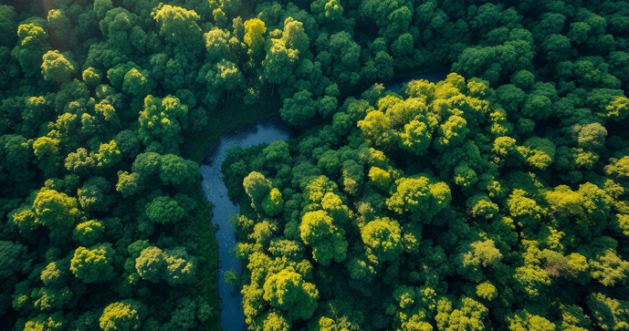 Geoprocessamento Ambiental: Como Utilizar para a Sustentabilidade Geoprocessamento Ambiental: Como Utilizar para a Sustentabilidade