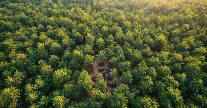 Criando Programas de Impacto Ambiental Efetivos