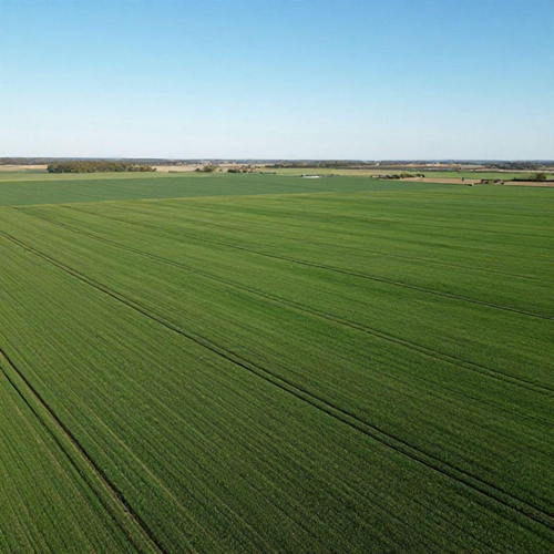 Georreferenciamento no Setor Rural: Guia Essencial para Melhorar a Gestão da Propriedade