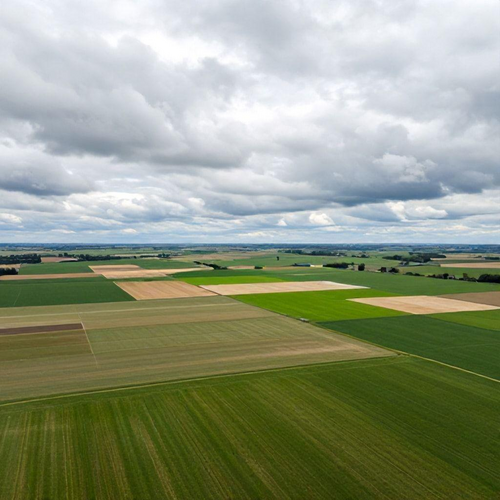Georreferenciamento Rural: Melhore a Gestão e Aumente a Produtividade da Sua Propriedade