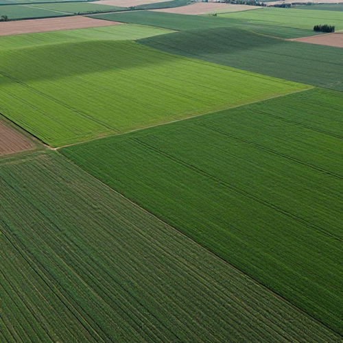 Georreferenciamento Rural: Otimize a Gestão de Propriedades e Impulsione Resultados Sustentáveis